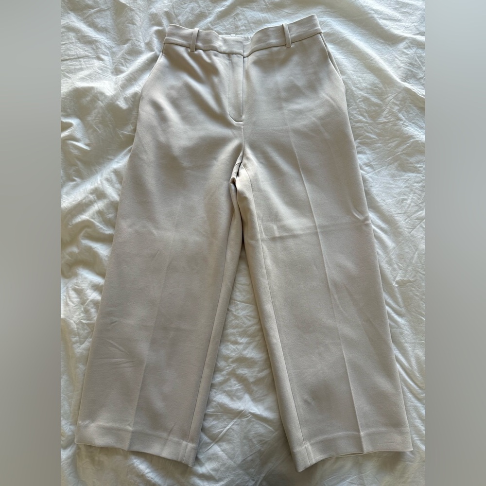Aritzia Babaton top and pants set in Matte Pearl - Picture 9 of 12